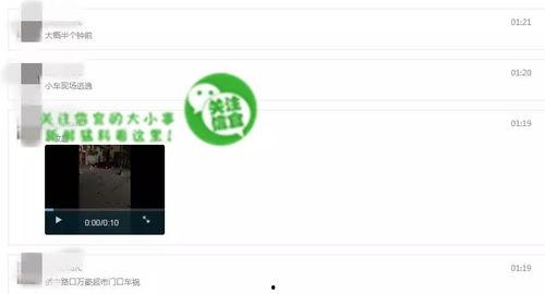 网友爆料视频来源于网络,网络视频揭露惊人真相！